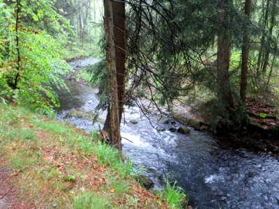 Hennersdorf Wilde Weißeritz 3