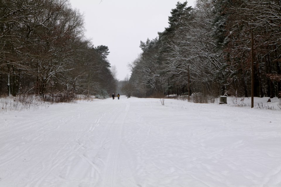 Hennigsdorfer Neuendorfer Heide with snow 2021-02-09 04