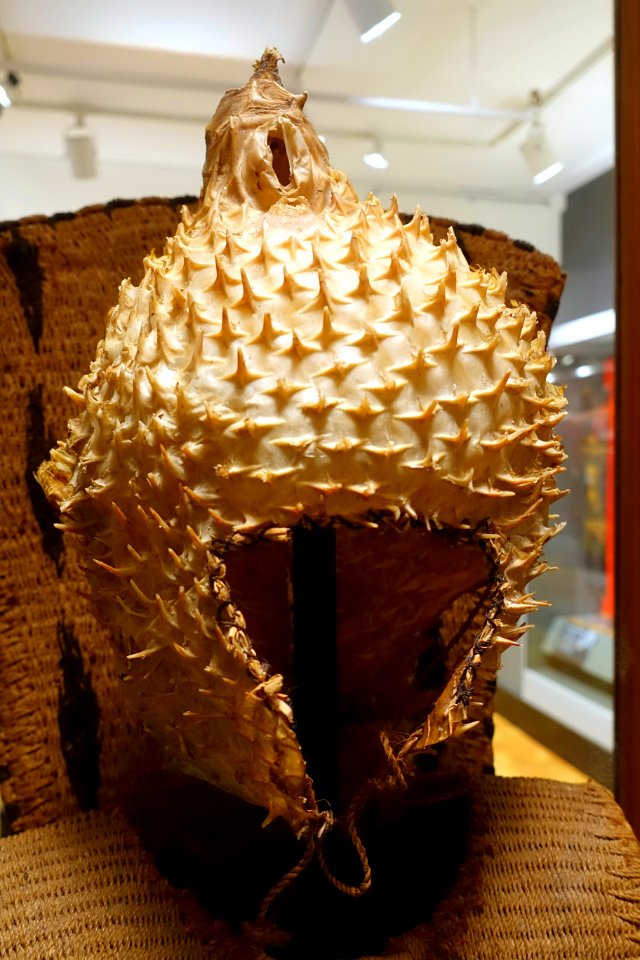 Helmet, Gilbert Islands, Kirabati, porcupinefish or pufferfish skin - Pacific collection - Peabody Museum, Harvard University - DSC06024