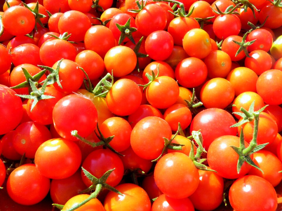 Vegetables fresh food