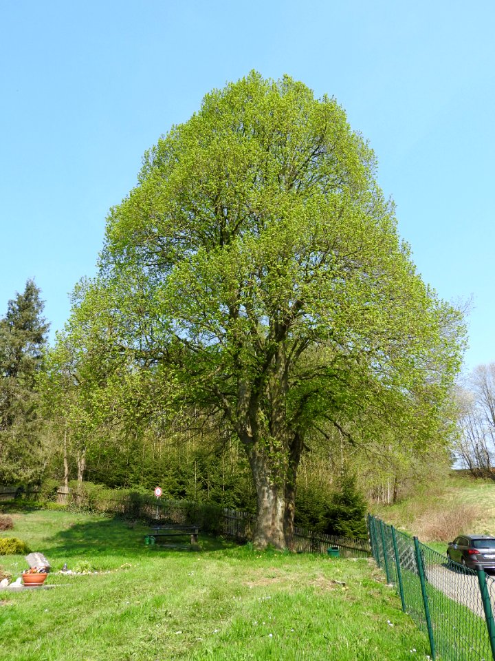 Helmsgrün, Bad Lobenstein, Thuringia 16
