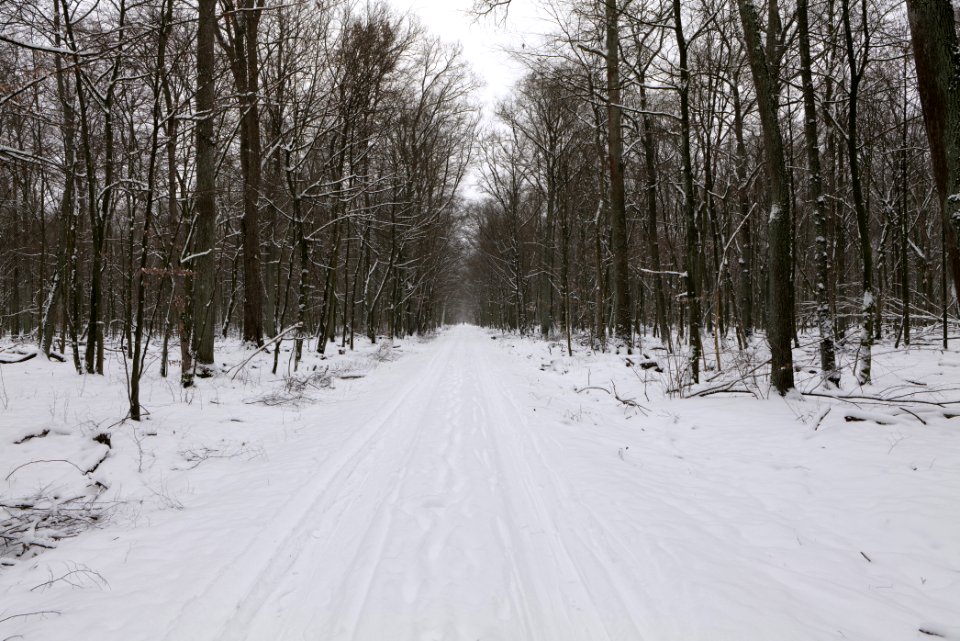Hennigsdorfer Neuendorfer Heide with snow 2021-02-09 59