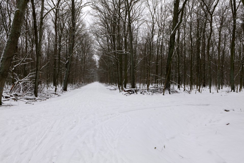 Hennigsdorfer Neuendorfer Heide with snow 2021-02-09 64