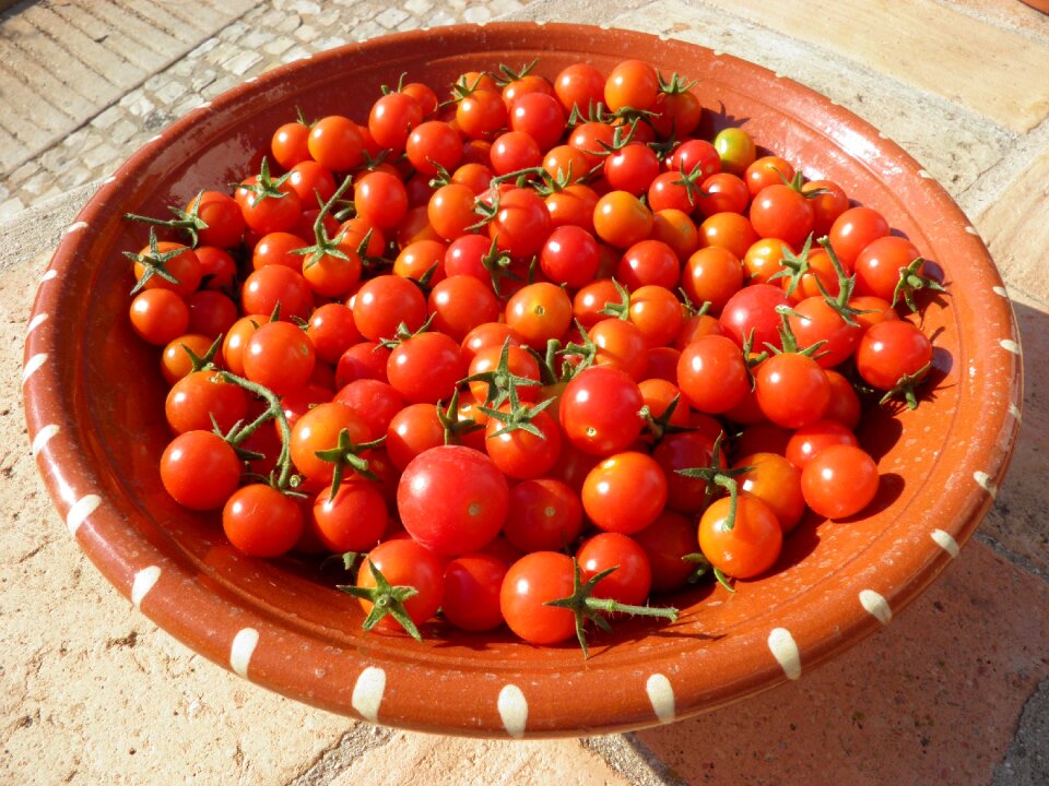 Food tomato vegetable