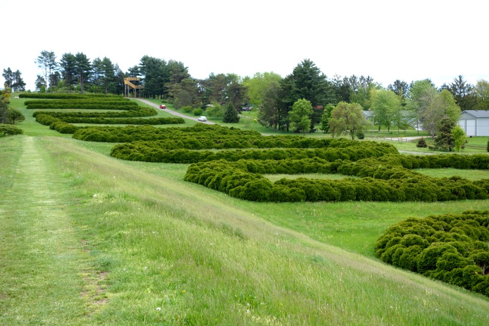 Hedge Lettering - Dawes Arboretum - DSC02900