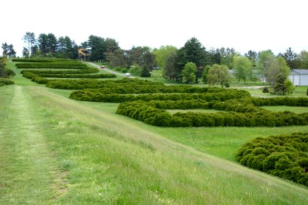 Hedge Lettering - Dawes Arboretum - DSC02900