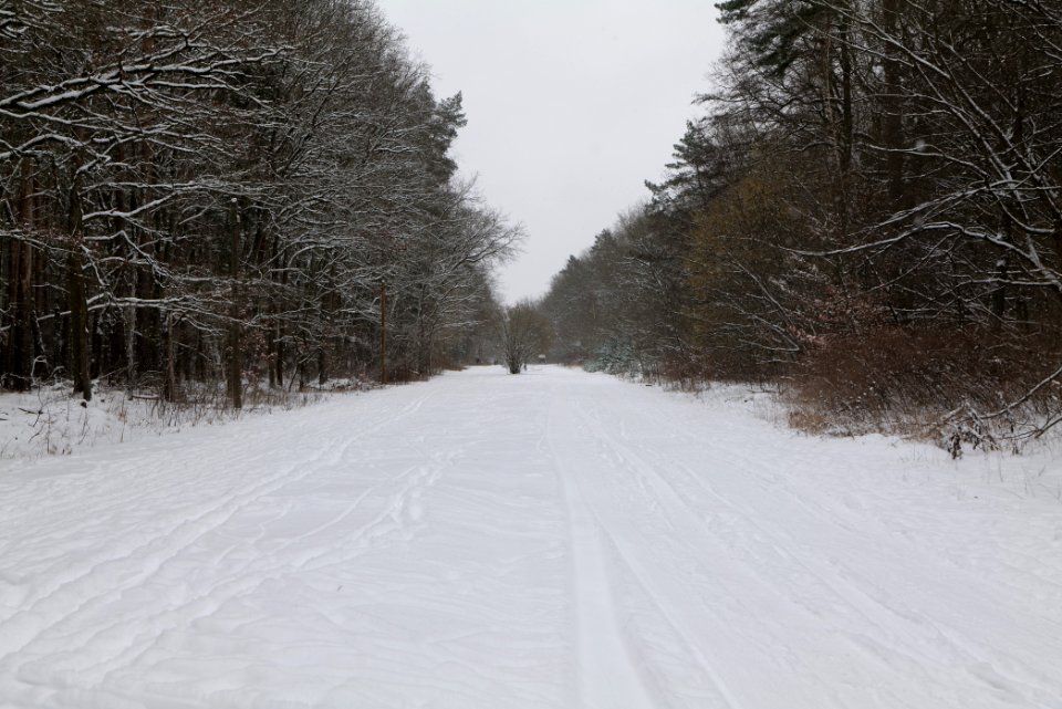 Hennigsdorfer Neuendorfer Heide with snow 2021-02-09 10