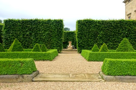 Hedges - Harewood House - West Yorkshire, England - DSC02138