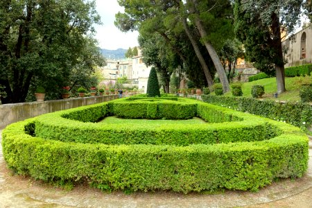 Hedges - Villa d'Este - Tivoli, Italy - DSC04136
