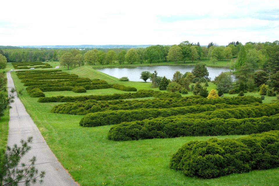 Hedge Lettering - Dawes Arboretum - DSC02923