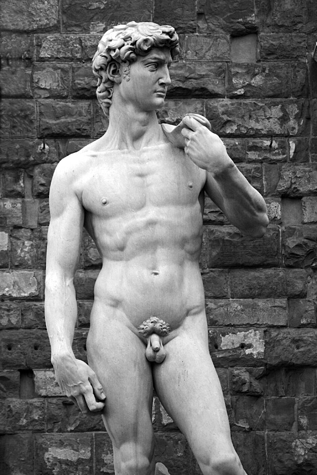 Michelangelo david high renaissance