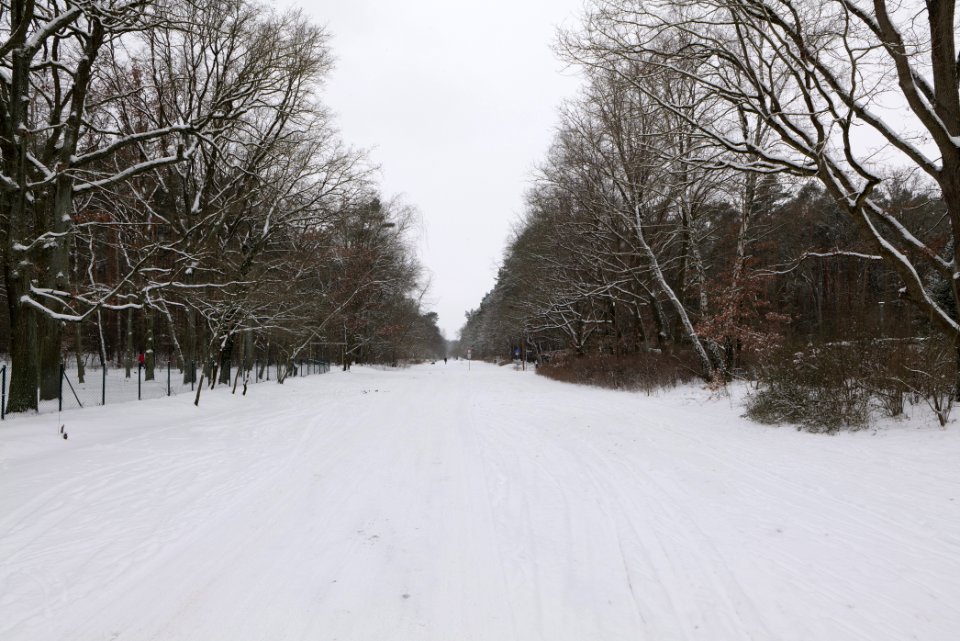 Hennigsdorfer Neuendorfer Heide with snow 2021-02-09 01