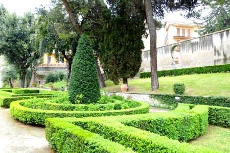 Hedges - Villa d'Este - Tivoli, Italy - DSC04145