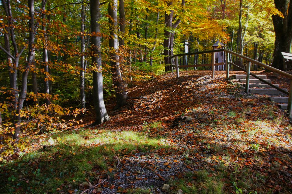 Hechenberg nordwall