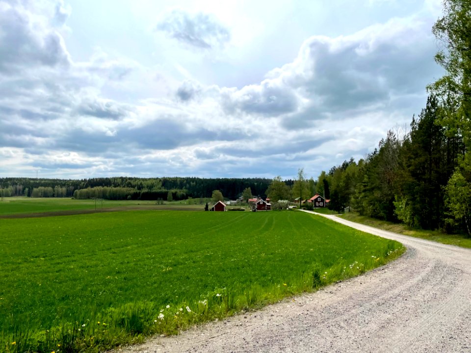 Hebyåsen