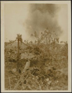 Heavy gun in action, Bestanddeelnr 158-2201