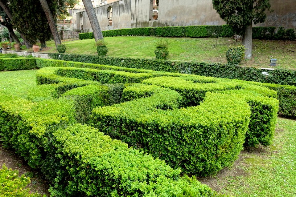 Hedges - Villa d'Este - Tivoli, Italy - DSC04140