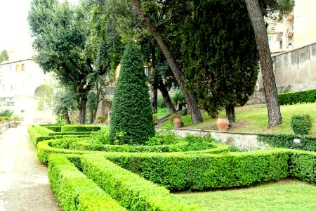 Hedges - Villa d'Este - Tivoli, Italy - DSC04144
