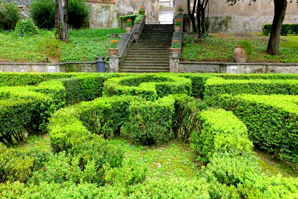Hedges - Villa d'Este - Tivoli, Italy - DSC04154