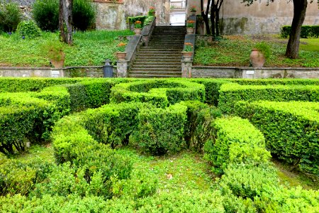 Hedges - Villa d'Este - Tivoli, Italy - DSC04154