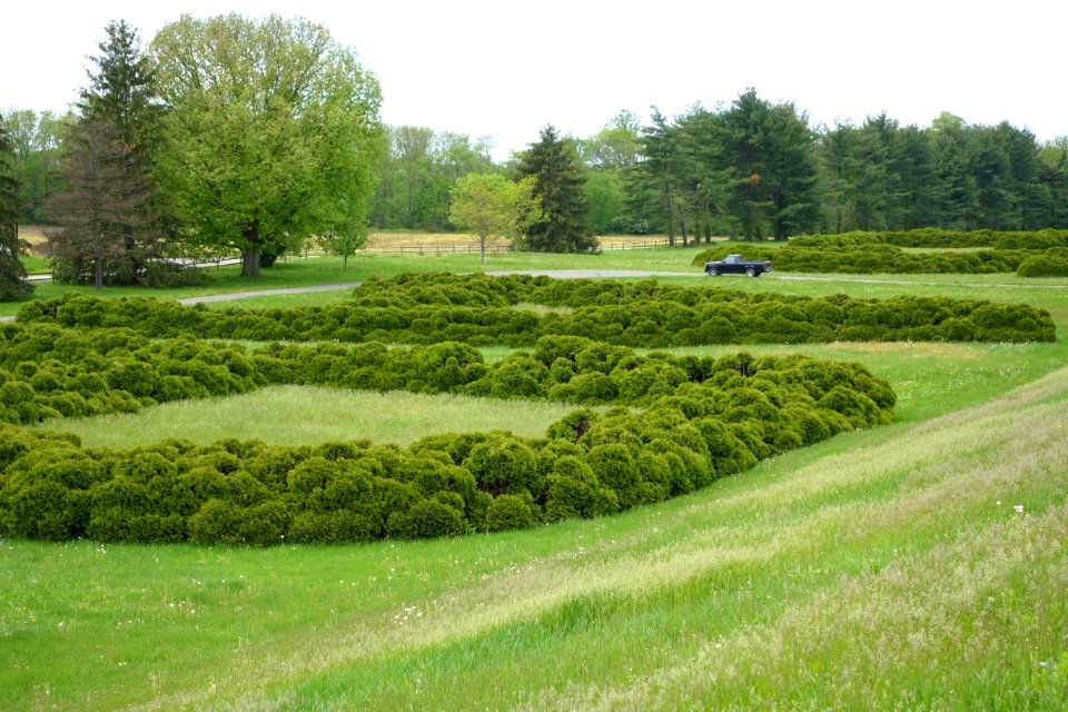 Hedge Lettering - Dawes Arboretum - DSC02905
