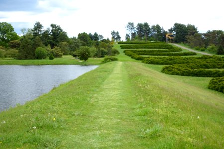 Hedge Lettering - Dawes Arboretum - DSC02902