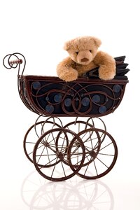 Teddy bear plush brown photo