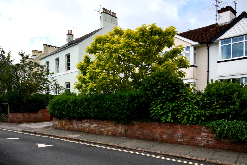 Heavitree, Exeter 2020-06-20 6