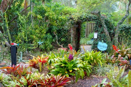 Heathcote Botanical Gardens - Fort Pierce, Florida - DSC03280 photo