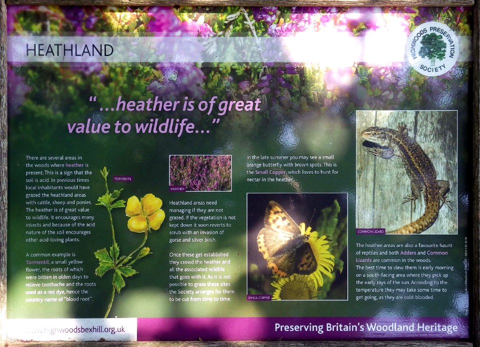Heathland Information Board, Highwoods, Bexhill-on-Sea