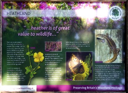 Heathland Information Board, Highwoods, Bexhill-on-Sea