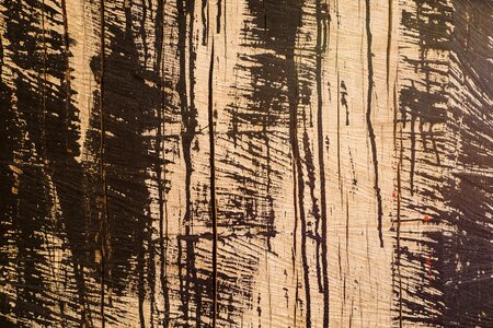 Brown wood planks background