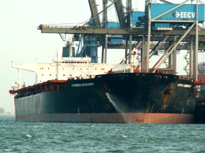 Hedwig Oldendorff - IMO 8015697 p1, Port of Rotterdam, Holland 24-Feb-2006