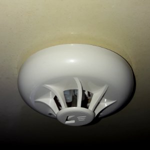 Heat detector IP 103-5 4 A2 (foto01)