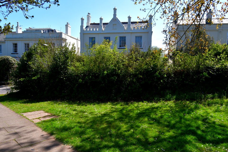Heavitree (2021-04-25) 13