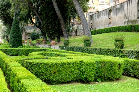 Hedges - Villa d'Este - Tivoli, Italy - DSC04138