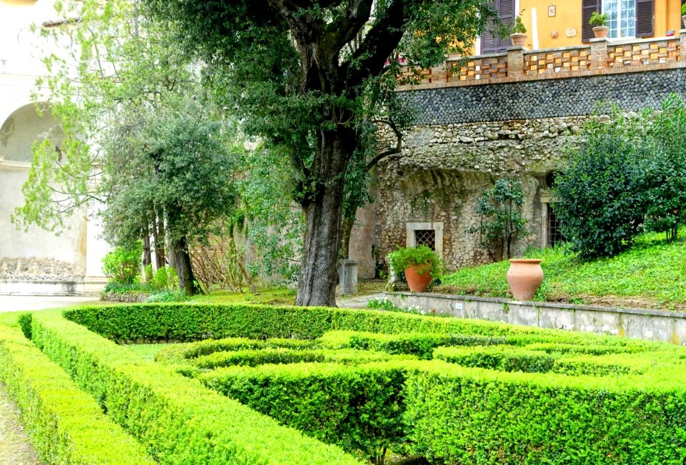 Hedges - Villa d'Este - Tivoli, Italy - DSC04152