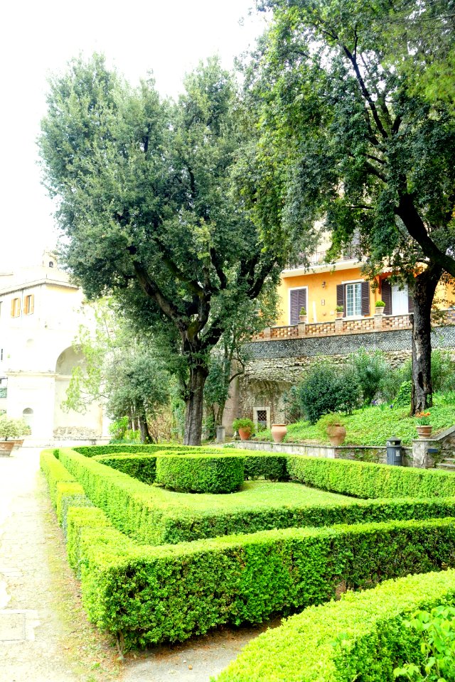 Hedges - Villa d'Este - Tivoli, Italy - DSC04148