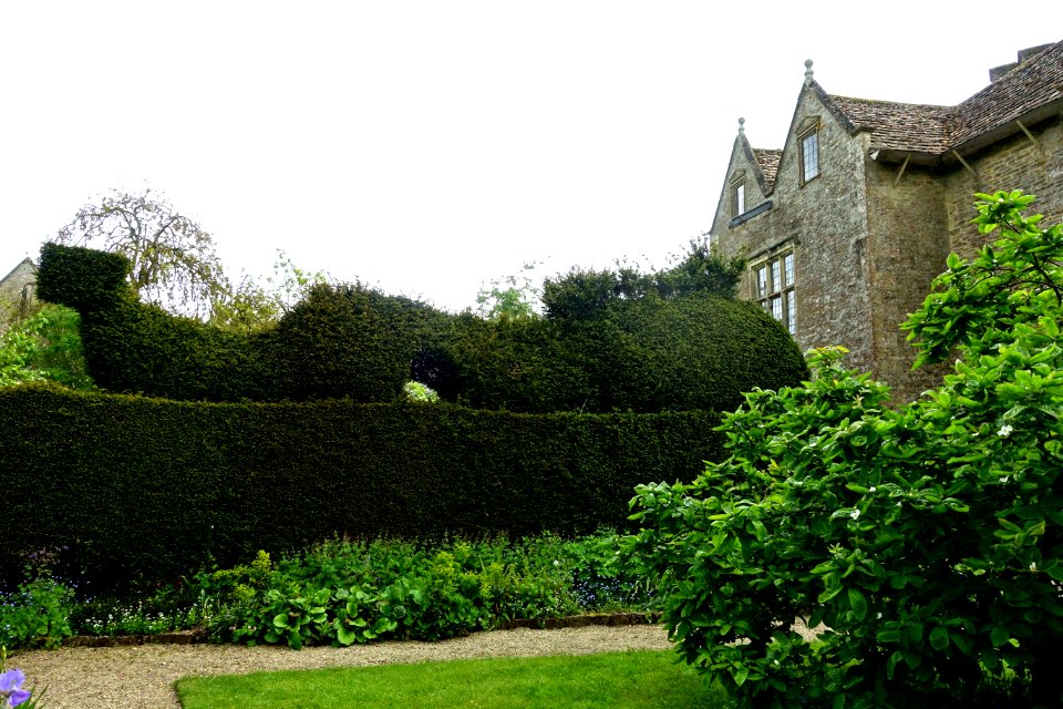 Hedge - Kelmscott Manor - Oxfordshire, England - DSC00175