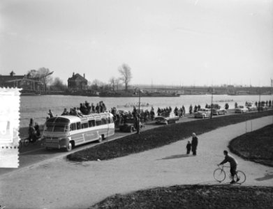 Head of the River Amsterdam, roeiploegen in actie, Bestanddeelnr 907-0596