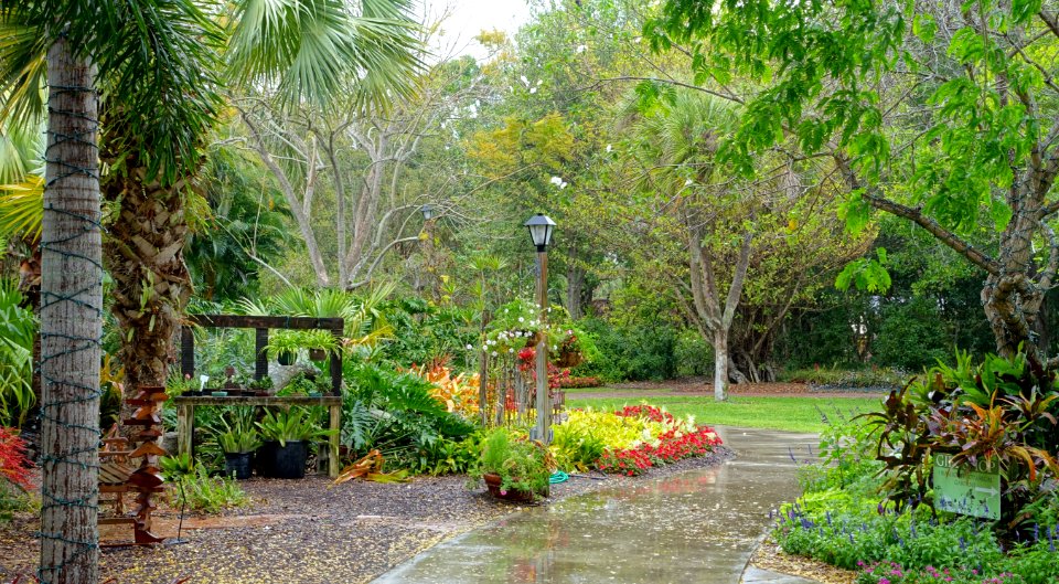 Heathcote Botanical Gardens - Fort Pierce, Florida - DSC03276