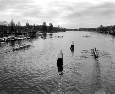 Head of the River op de Amstel, op de voorgrond no 8 Nereus II (winnaar) op a, Bestanddeelnr 916-3241