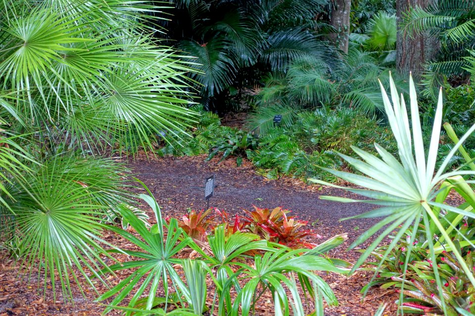 Heathcote Botanical Gardens - Fort Pierce, Florida - DSC03278