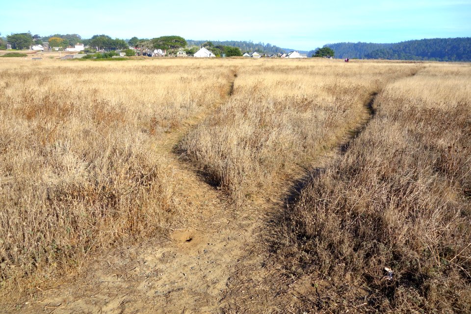 Headlands - Mendocino, California - DSC01732