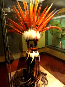 Headdress, feathers, Wayana - AMNH - DSC06191