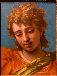Head of Saint Michael, from the Petrobelli Altarpiece, by Paulo Caliari, called Paolo Veronese, c. 1563, oil on canvas - Blanton Museum of Art - Austin, Texas - DSC07807