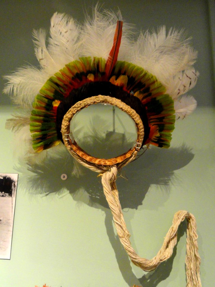 Headdress (dance), Wai-wai people, various feathers - South American collection - Peabody Museum, Harvard University - DSC05679