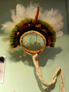 Headdress (dance), Wai-wai people, various feathers - South American collection - Peabody Museum, Harvard University - DSC05679