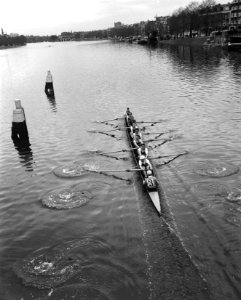Head of the River op de Amstel, overzicht, Bestanddeelnr 916-3244