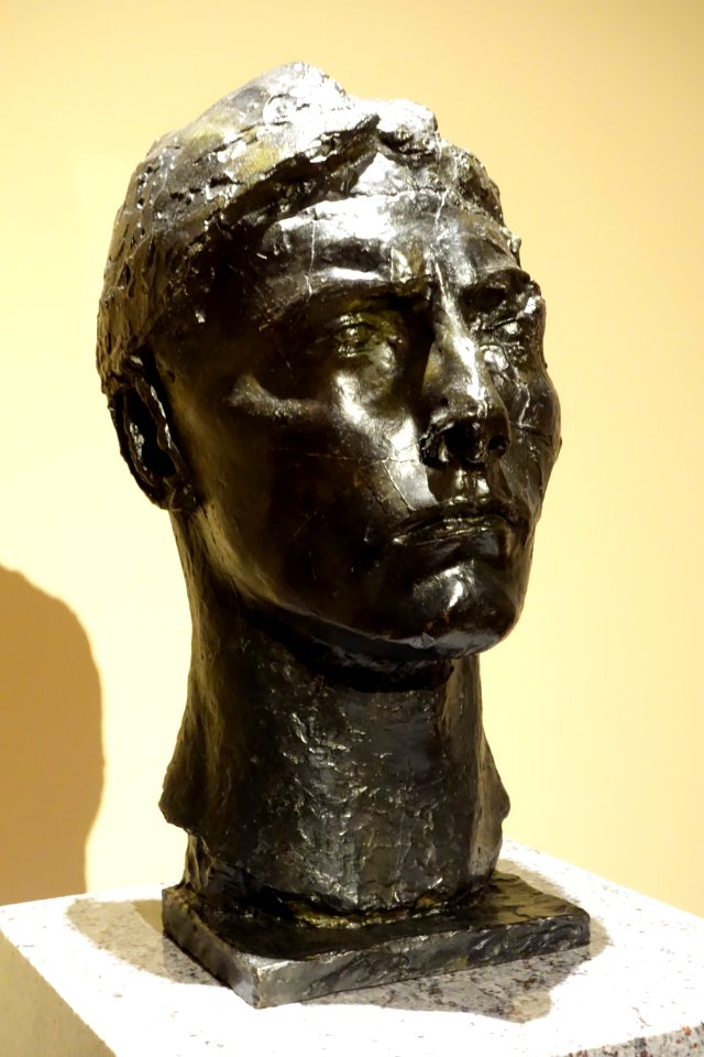 Head of Apollo with Neck, by Emile-Antoine Bourdelle, 1900, bronze - National Museum of Western Art, Tokyo - DSC08510